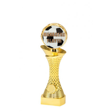 sport beker diameter 80 breedte 80 hoogte 235 inleg 25 voetbal