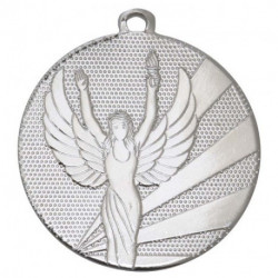 medaille metaal diameter 32 t1,5 overwinning