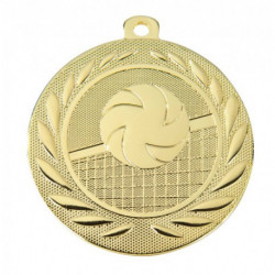 medaille metaal diameter 50 t2 volleybal