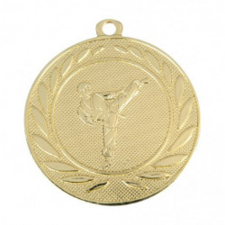 medaille metaal diameter 50 t2 karate