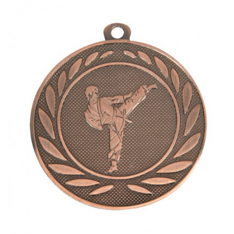 medaille metaal diameter 50 t2 karate